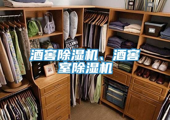 酒窖除濕機、酒窖室除濕機