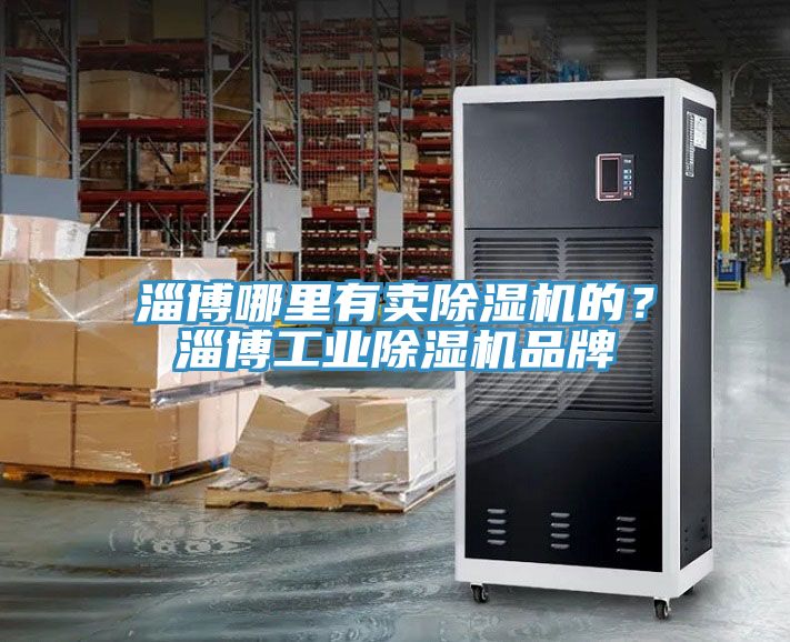 淄博哪里有賣除濕機(jī)的？淄博工業(yè)除濕機(jī)品牌