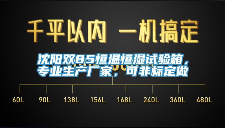 沈陽雙85恒溫恒濕試驗箱，專業(yè)生產(chǎn)廠家，可非標(biāo)定做