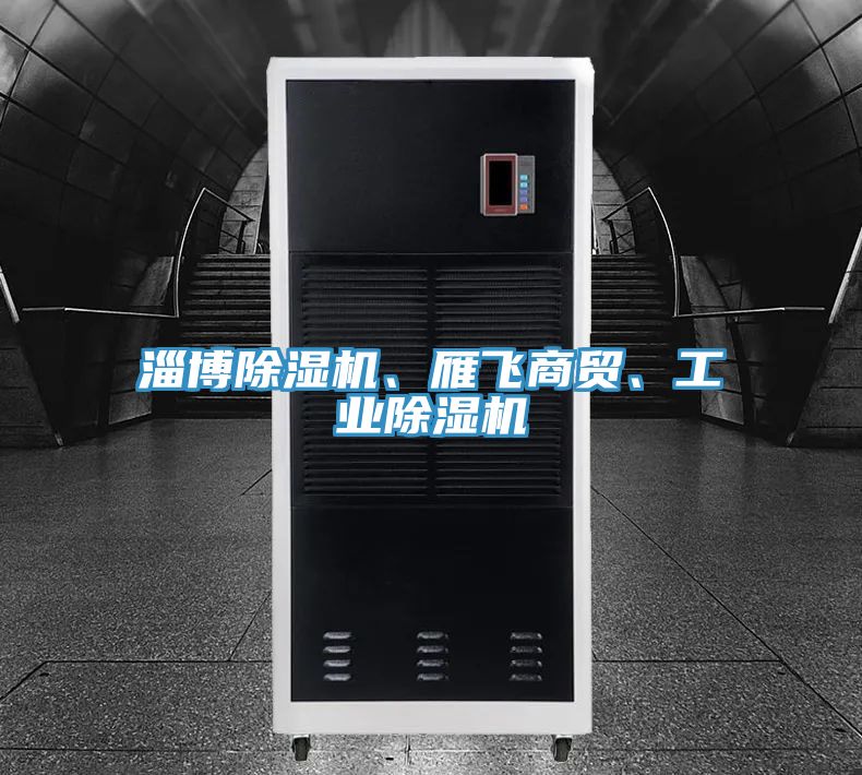 淄博除濕機、雁飛商貿(mào)、工業(yè)除濕機