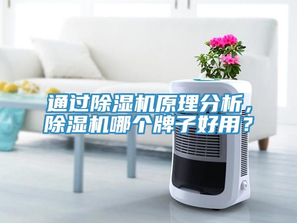 通過除濕機原理分析，除濕機哪個牌子好用？