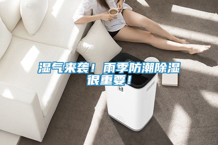 濕氣來(lái)襲！雨季防潮除濕很重要！