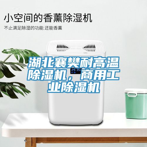 湖北襄樊耐高溫除濕機(jī)，商用工業(yè)除濕機(jī)