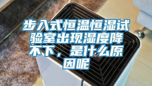 步入式恒溫恒濕試驗室出現濕度降不下，是什么原因呢