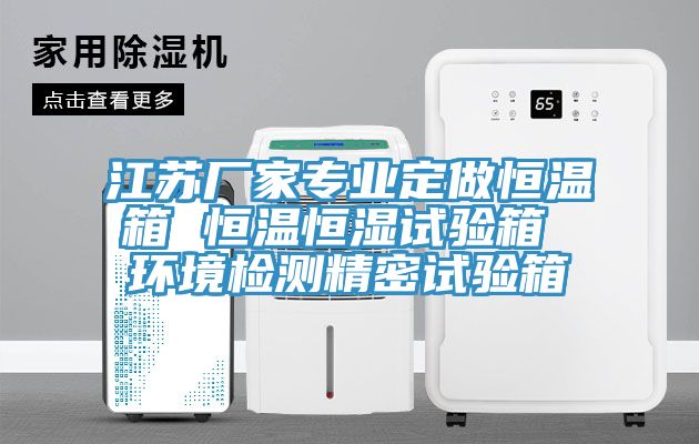江蘇廠(chǎng)家專(zhuān)業(yè)定做恒溫箱 恒溫恒濕試驗(yàn)箱 環(huán)境檢測(cè)精密試驗(yàn)箱