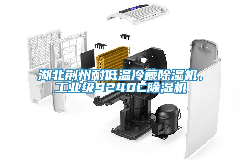 湖北荊州耐低溫冷藏除濕機(jī)，工業(yè)級9240C除濕機(jī)