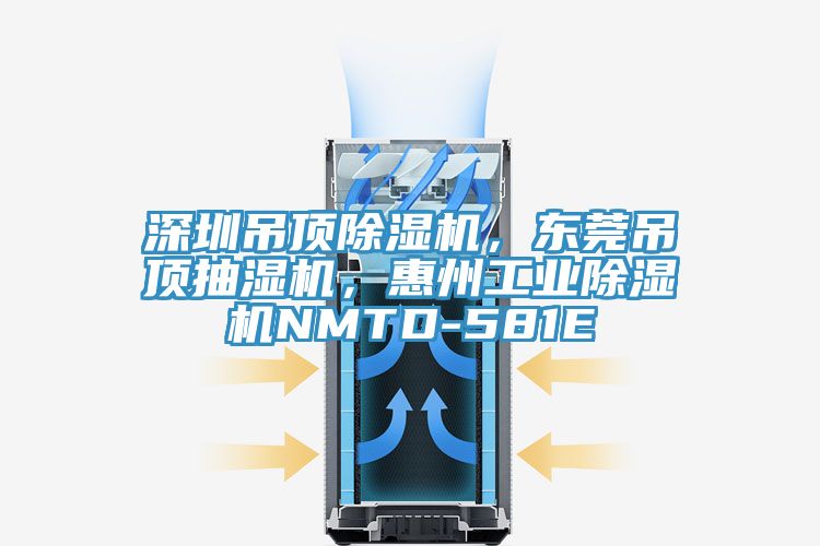 深圳吊頂除濕機，東莞吊頂抽濕機，惠州工業(yè)除濕機NMTD-581E