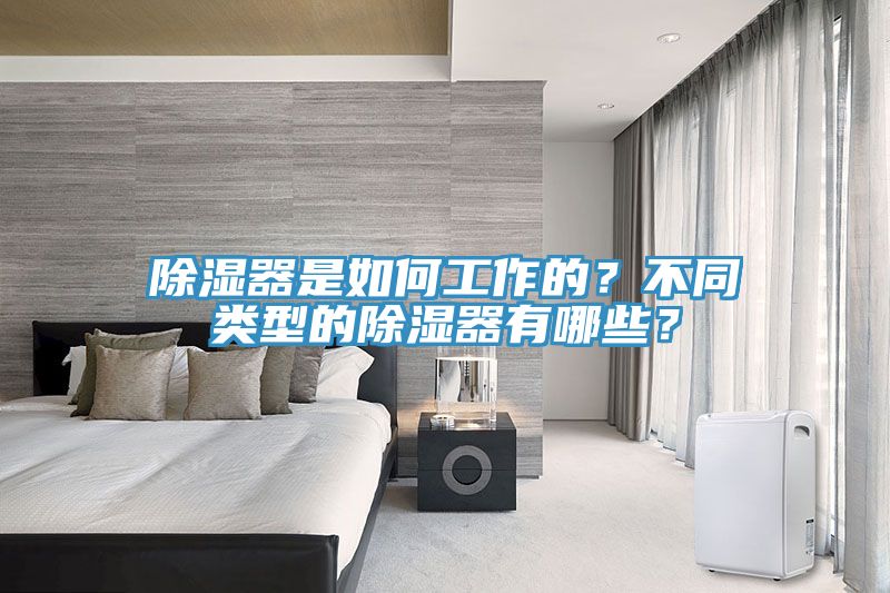 除濕器是如何工作的？不同類型的除濕器有哪些？