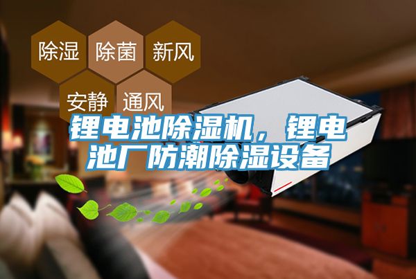 鋰電池除濕機(jī)，鋰電池廠防潮除濕設(shè)備