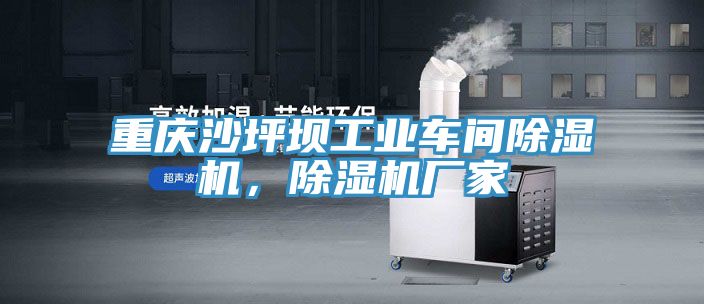 重慶沙坪壩工業(yè)車間除濕機(jī)，除濕機(jī)廠家