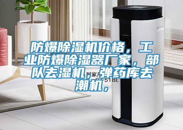 防爆除濕機(jī)價(jià)格，工業(yè)防爆除濕器廠家，部隊(duì)去濕機(jī)，彈藥庫(kù)去潮機(jī)，