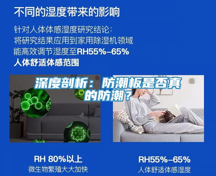 深度剖析：防潮板是否真的防潮？