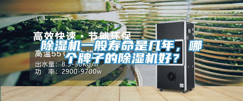 除濕機一般壽命是幾年，哪個牌子的除濕機好？