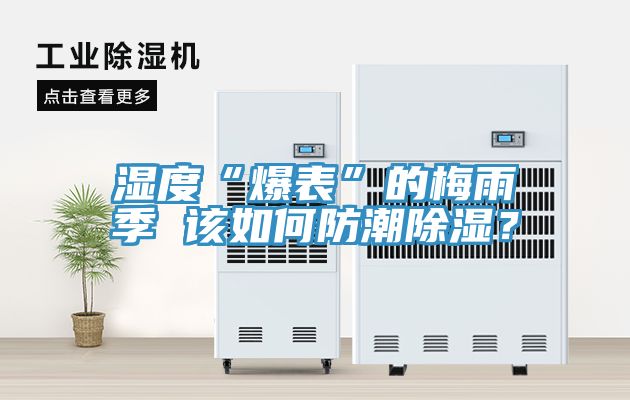 濕度“爆表”的梅雨季 該如何防潮除濕？