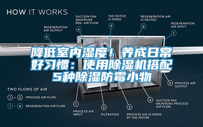 降低室內(nèi)濕度！養(yǎng)成日常好習(xí)慣：使用除濕機(jī)搭配5種除濕防霉小物