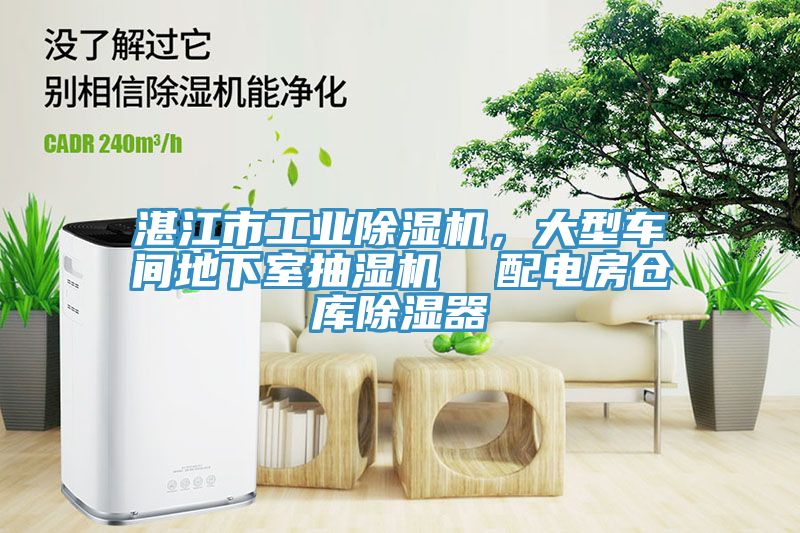 湛江市工業(yè)除濕機，大型車間地下室抽濕機  配電房倉庫除濕器