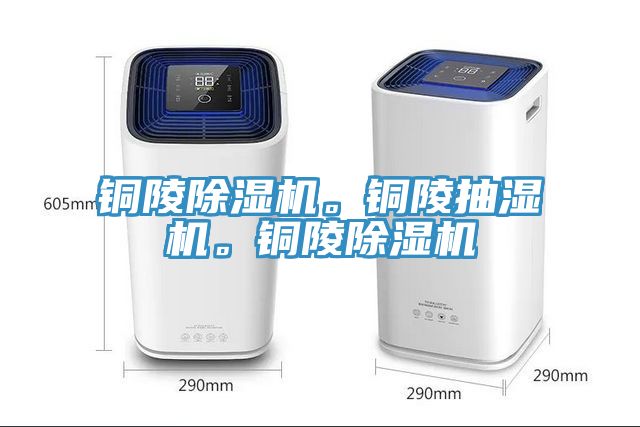銅陵除濕機。銅陵抽濕機。銅陵除濕機