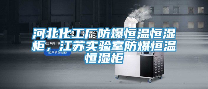 河北化工廠防爆恒溫恒濕柜，江蘇實驗室防爆恒溫恒濕柜