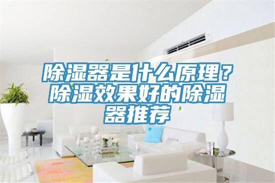 除濕器是什么原理？除濕效果好的除濕器推薦
