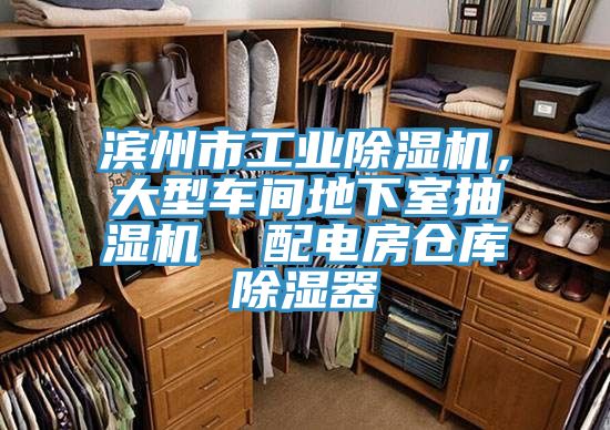 濱州市工業(yè)除濕機(jī)，大型車間地下室抽濕機(jī)  配電房倉(cāng)庫(kù)除濕器