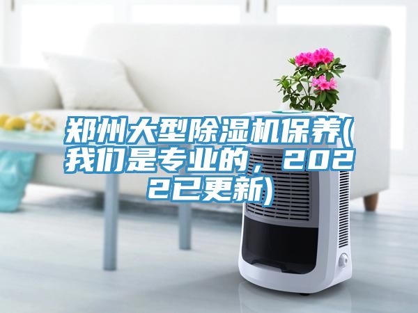 鄭州大型除濕機(jī)保養(yǎng)(我們是專(zhuān)業(yè)的，2022已更新)