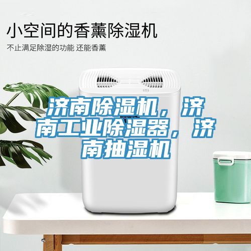 濟南除濕機，濟南工業(yè)除濕器，濟南抽濕機