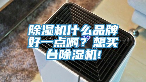 除濕機(jī)什么品牌好一點(diǎn)??？想買臺(tái)除濕機(jī)!