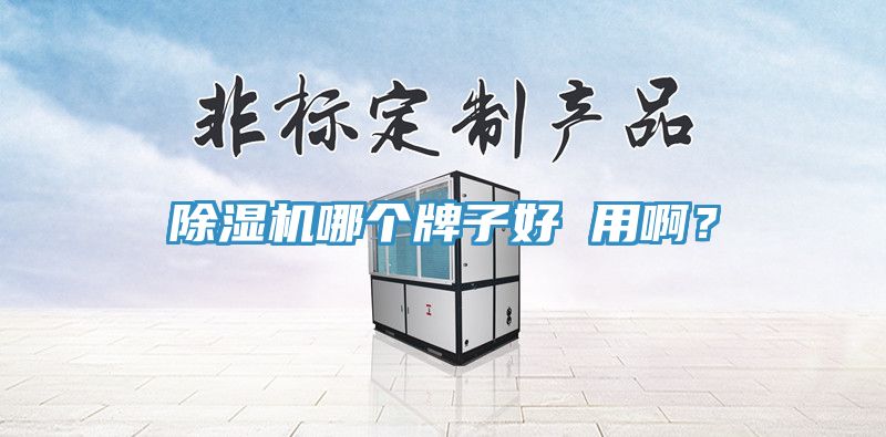 除濕機(jī)哪個(gè)牌子好 用?。?></div>
								<div   id=