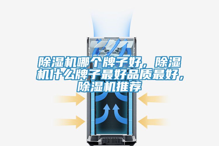 除濕機哪個牌子好，除濕機什么牌子最好品質最好，除濕機推薦
