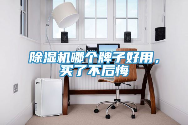 除濕機哪個牌子好用，買了不后悔