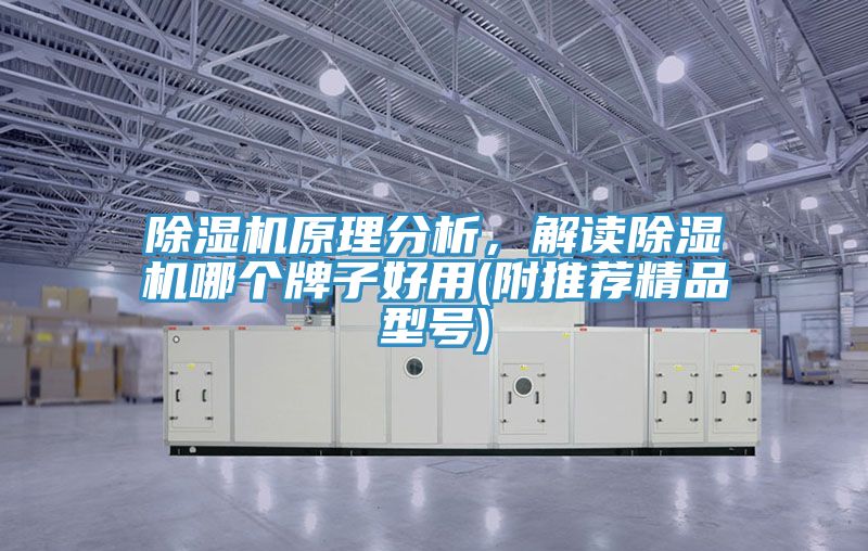 除濕機原理分析，解讀除濕機哪個牌子好用(附推薦精品型號)