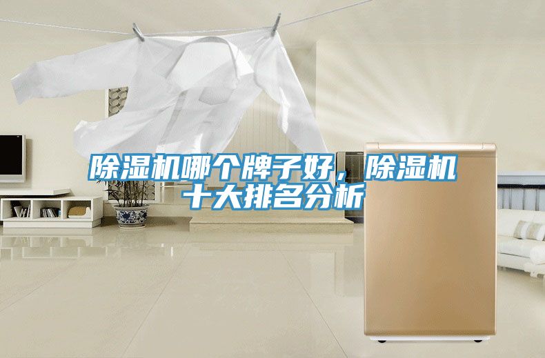 除濕機哪個牌子好，除濕機十大排名分析