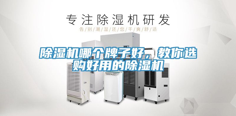 除濕機哪個牌子好，教你選購好用的除濕機