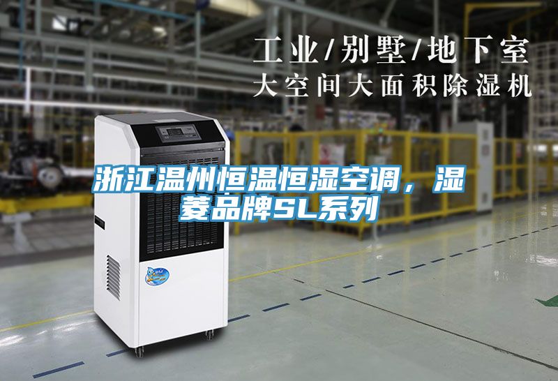 浙江溫州恒溫恒濕空調(diào)，濕菱品牌SL系列