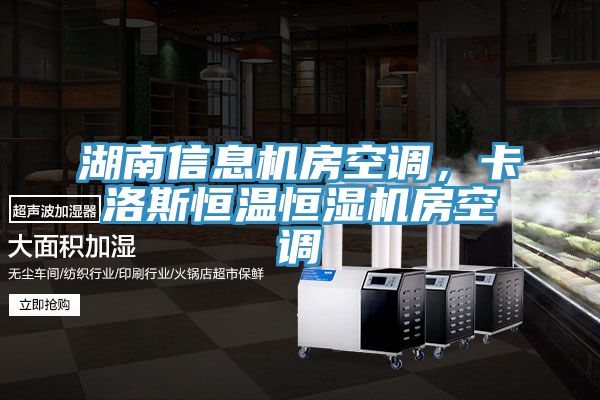 湖南信息機(jī)房空調(diào)，卡洛斯恒溫恒濕機(jī)房空調(diào)