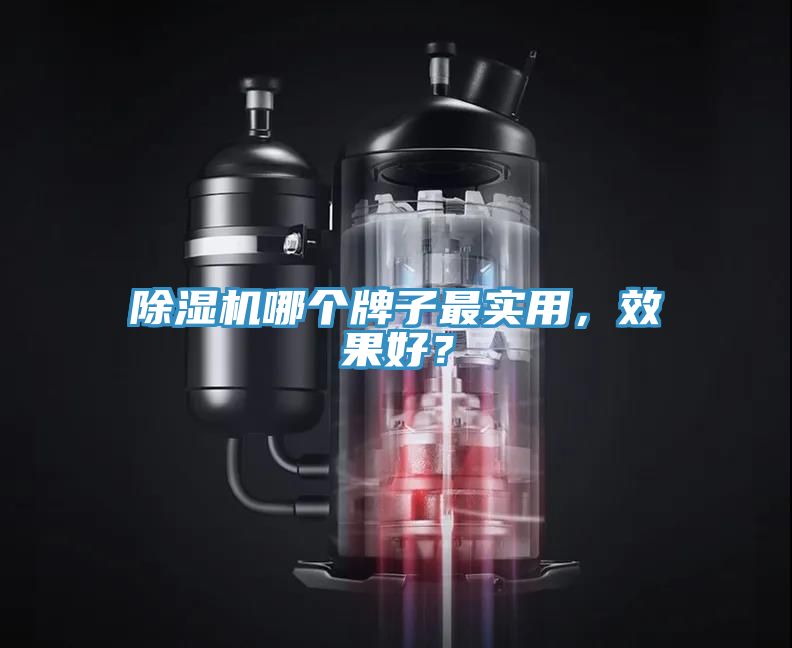 除濕機哪個牌子最實用，效果好？