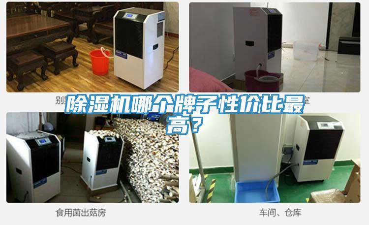 除濕機(jī)哪個(gè)牌子性價(jià)比最高？