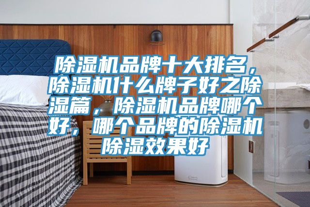 除濕機(jī)品牌十大排名，除濕機(jī)什么牌子好之除濕篇，除濕機(jī)品牌哪個(gè)好，哪個(gè)品牌的除濕機(jī)除濕效果好