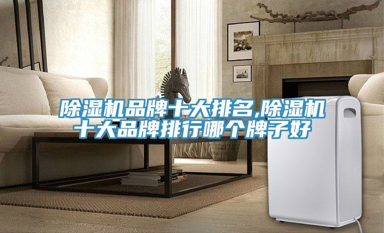 除濕機(jī)品牌十大排名,除濕機(jī)十大品牌排行哪個牌子好