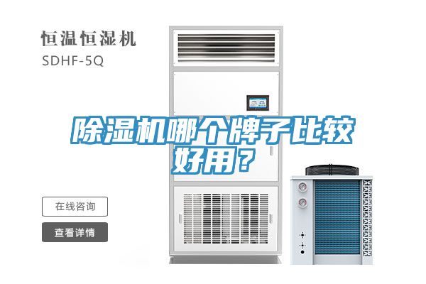除濕機哪個牌子比較好用？