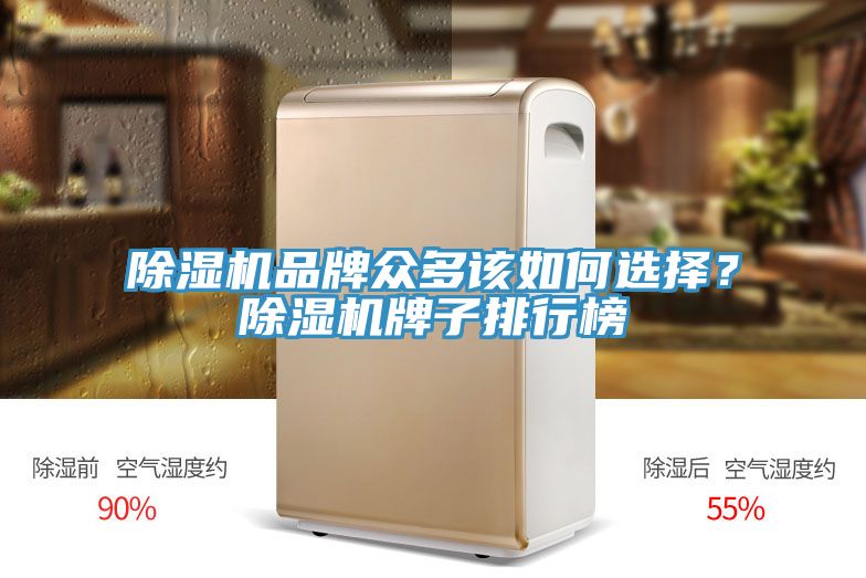 除濕機(jī)品牌眾多該如何選擇？除濕機(jī)牌子排行榜