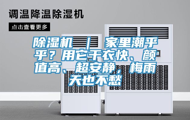 除濕機 ｜ 家里潮乎乎？用它干衣快、顏值高、超安靜，梅雨天也不愁