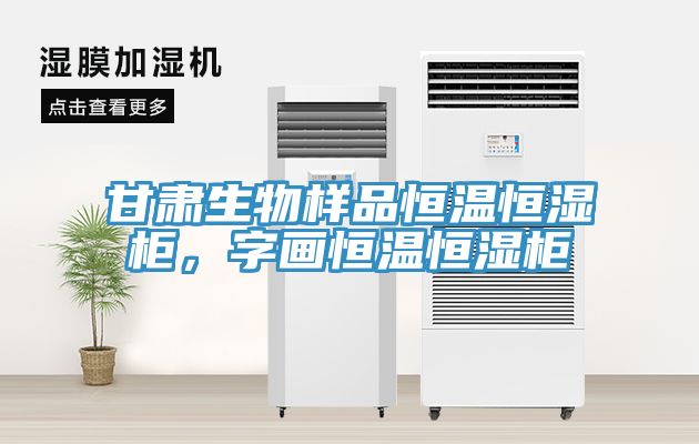 甘肅生物樣品恒溫恒濕柜，字畫(huà)恒溫恒濕柜