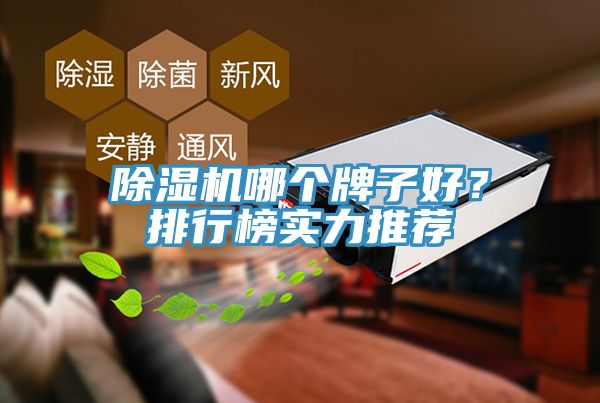 除濕機(jī)哪個(gè)牌子好？排行榜實(shí)力推薦