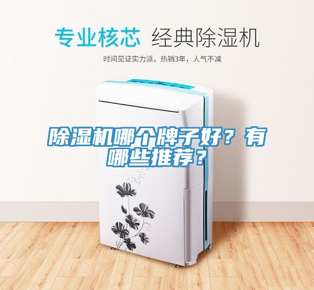 除濕機(jī)哪個(gè)牌子好？有哪些推薦？