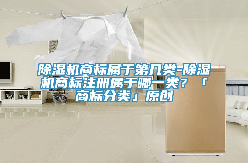除濕機(jī)商標(biāo)屬于第幾類-除濕機(jī)商標(biāo)注冊屬于哪一類？「商標(biāo)分類」原創(chuàng)
