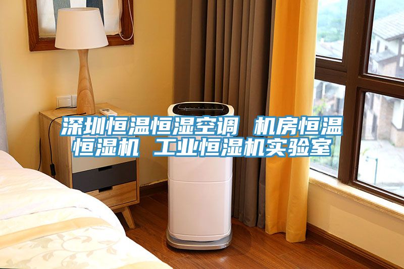 深圳恒溫恒濕空調(diào) 機(jī)房恒溫恒濕機(jī) 工業(yè)恒濕機(jī)實(shí)驗室