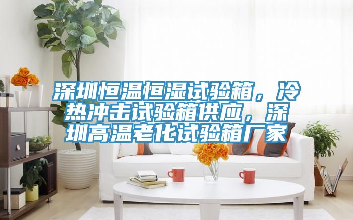 深圳恒溫恒濕試驗箱，冷熱沖擊試驗箱供應(yīng)，深圳高溫老化試驗箱廠家