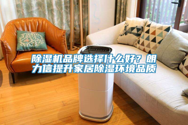 除濕機(jī)品牌選擇什么好？朗力信提升家居除濕環(huán)境品質(zhì)