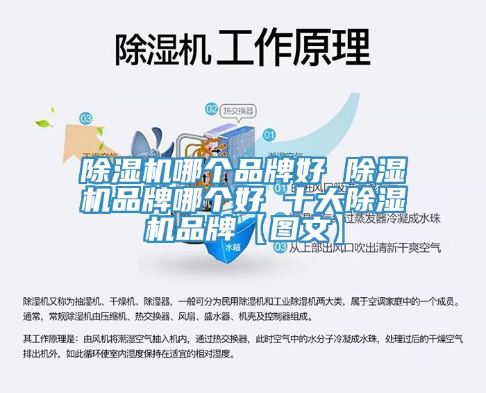 除濕機(jī)哪個(gè)品牌好 除濕機(jī)品牌哪個(gè)好 十大除濕機(jī)品牌【圖文】